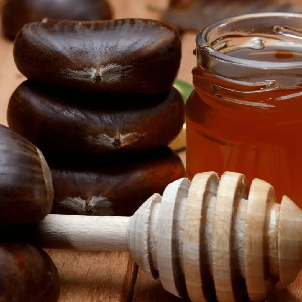 Glas mit dunklem Kastanienhonig, Honiglöffel im Vordergrund mit Kastanien, rötlich-braune Farbe, naturrein und aromatisch
