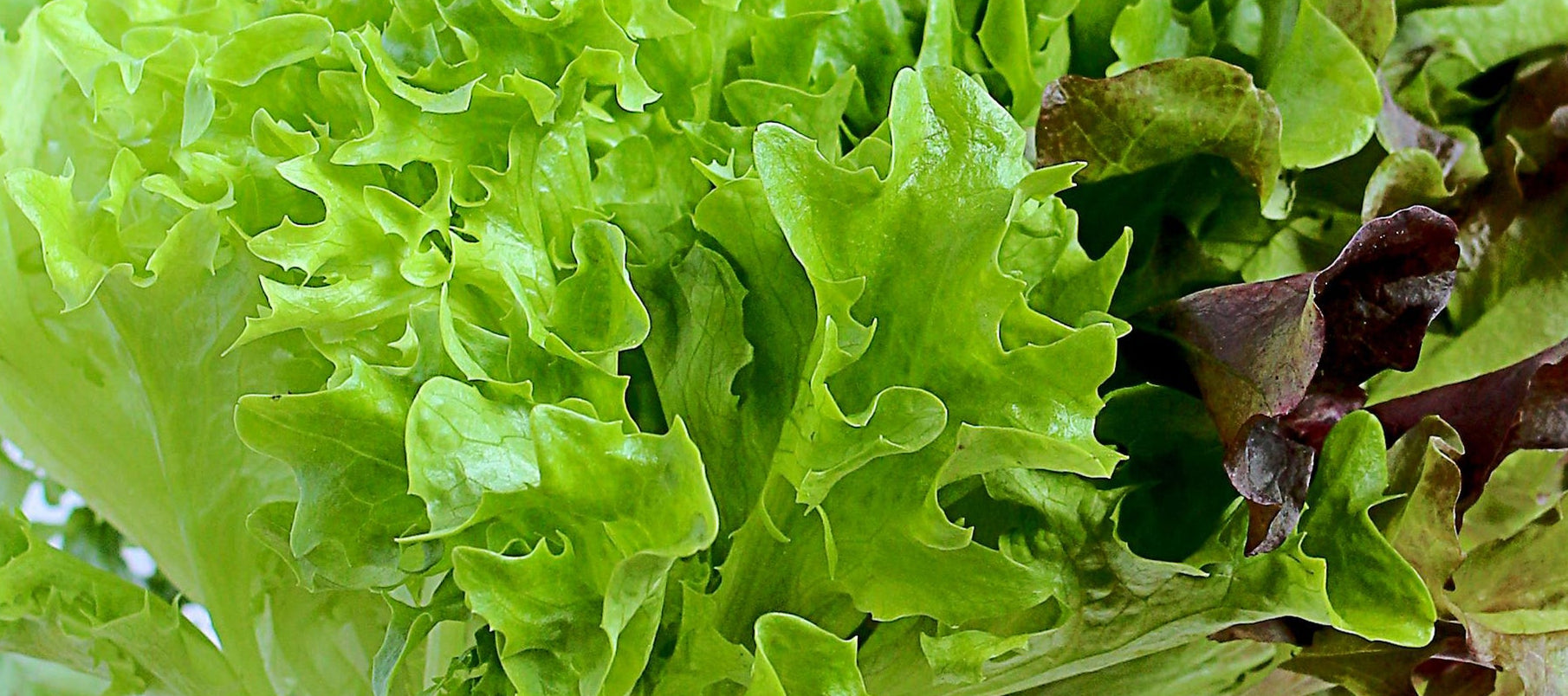 Pottmühle Blog Rezepte und Wissenswertes